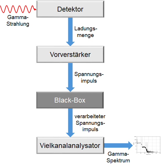 Schematische Darstellung der Detektion von Gamma-Strahlung. Die Gamma-Strahlung trifft auf einen Detektor und erzeugt durch Ionisation eine Ladungsmenge, die äquivalent zur Energie der Gamma-Strahlung ist. Die Ladungsmenge wird im Vorverstärker in einen Spannungsimpuls umgewandelt, dessen Höhe der Ladungsmenge entspricht. Der Spannungsimpuls wird in einer „Black-Box“ weiterverarbeitet und anschließend in einem Vielkanalanalysator auf die entsprechenden Kanäle verteilt.