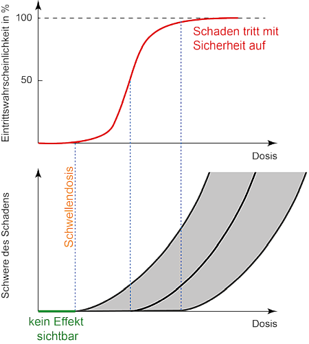 Diagramme für die Eintrittswahrscheinlichkeit einer strahlenbedingten Gewebereaktion (oben) und der entspre-chenden Schwere des Schadens (unten) in Abhängigkeit von der Dosis. Unterhalb einer Schwellendosis sind keine deterministischen Schäden beobachtbar.
